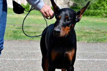 Similar image 20987775