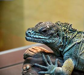 Similar image 20987257