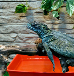 Similar image 20987781