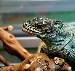 Similar image 20987260