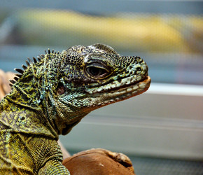 Similar image 20987783