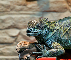 Similar image 20987784