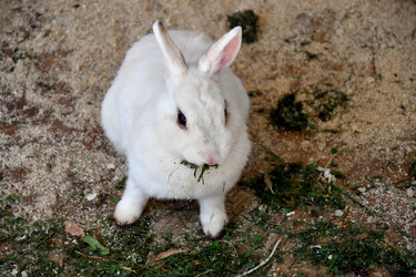 Similar image 20987786