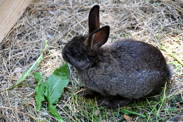 Similar image 20987919