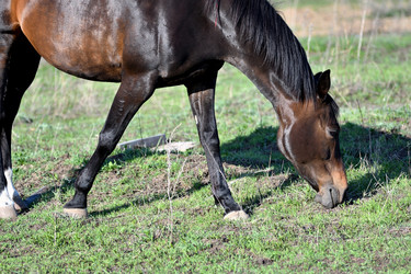 Similar image 20987923