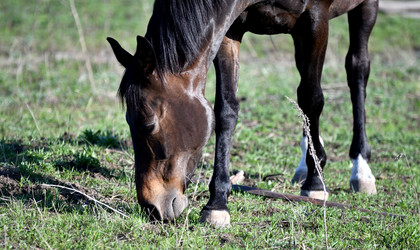 Similar image 20987925