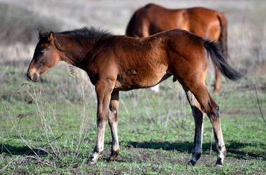 Similar image 20987927