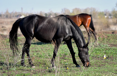 Similar image 20987792