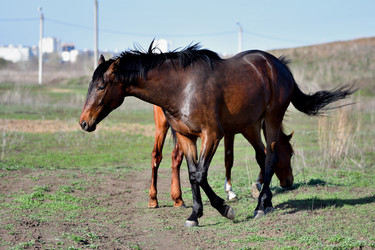 Similar image 20987261