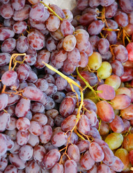 Similar image 20987796