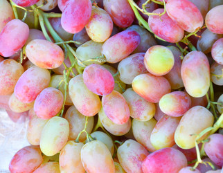 Similar image 20987800