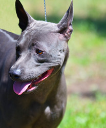 Similar image 20987806