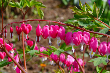 Similar image 20987807