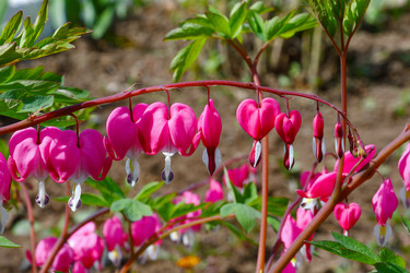 Similar image 20987808