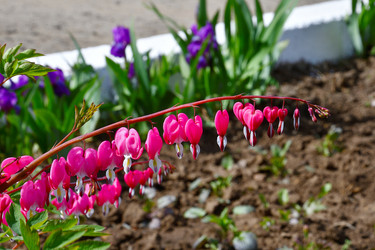 Similar image 20987809