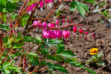 Similar image 20987271