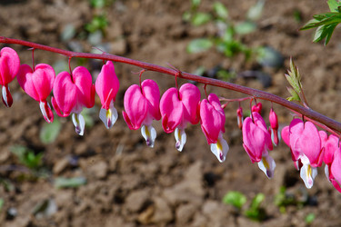 Similar image 20987810