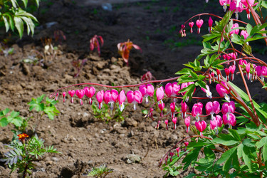 Similar image 20987272