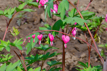 Similar image 20987812