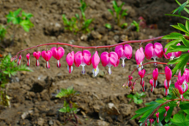 Similar image 20987813