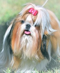 Similar image 20987273