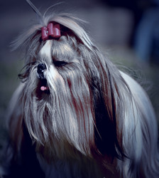 Similar image 20987817