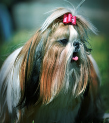 Similar image 20987818