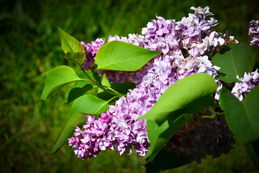 Similar image 20987819