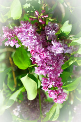 Similar image 20987820