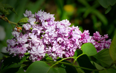 Similar image 20987821