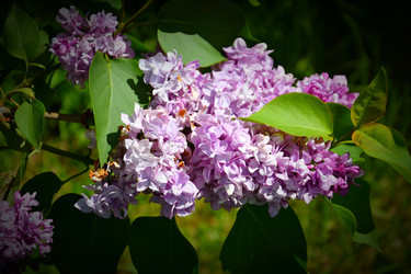 Similar image 20987274