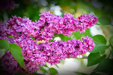 Similar image 20987275