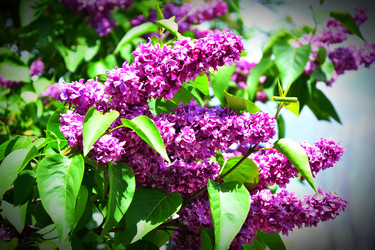 Similar image 20987823