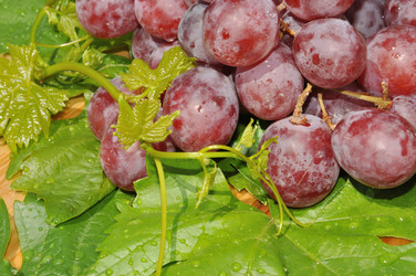 Similar image 20987825