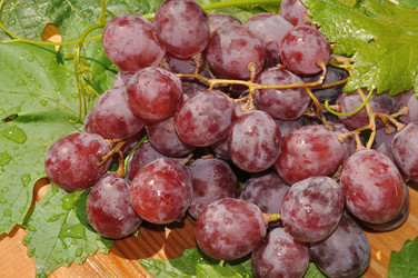 Similar image 20987826