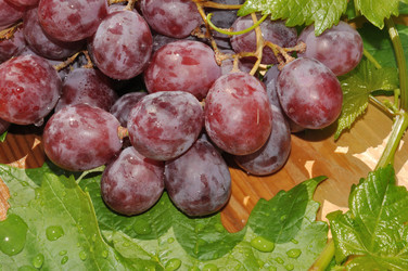 Similar image 20987827