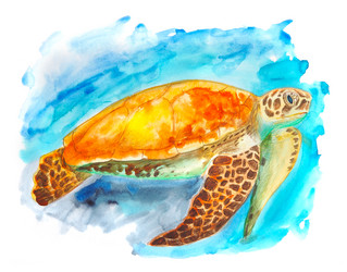 Similar image 20987170