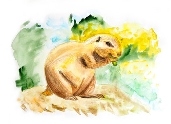 Similar image 20987174