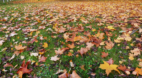 Similar image 20987175