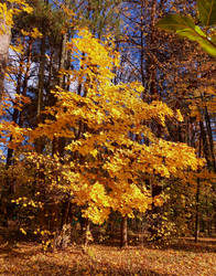 Similar image 20987176