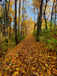 Similar image 20987179