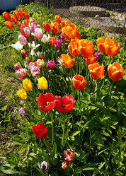 Similar image 20987183