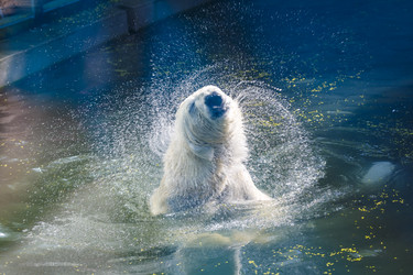 Similar image 20987382