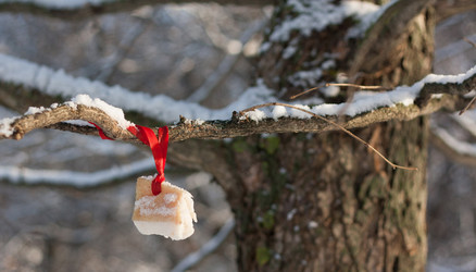 Similar image 20989911