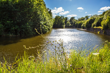 Similar image 20989916