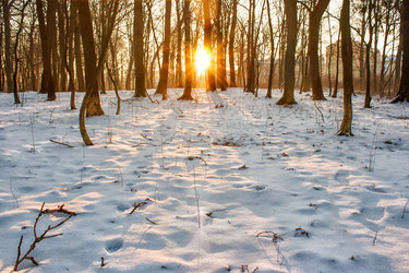 Similar image 20989921