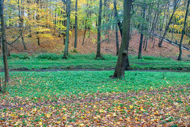 Similar image 20989936