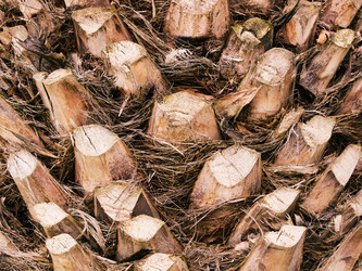 Similar image 20987283