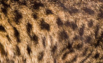 Similar image 20987284