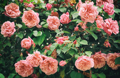 Similar image 20987286